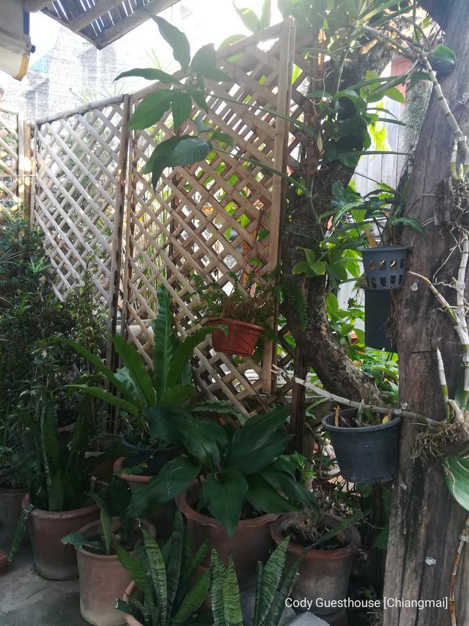 Cody Guesthouse Chiang Mai Eksteriør bilde